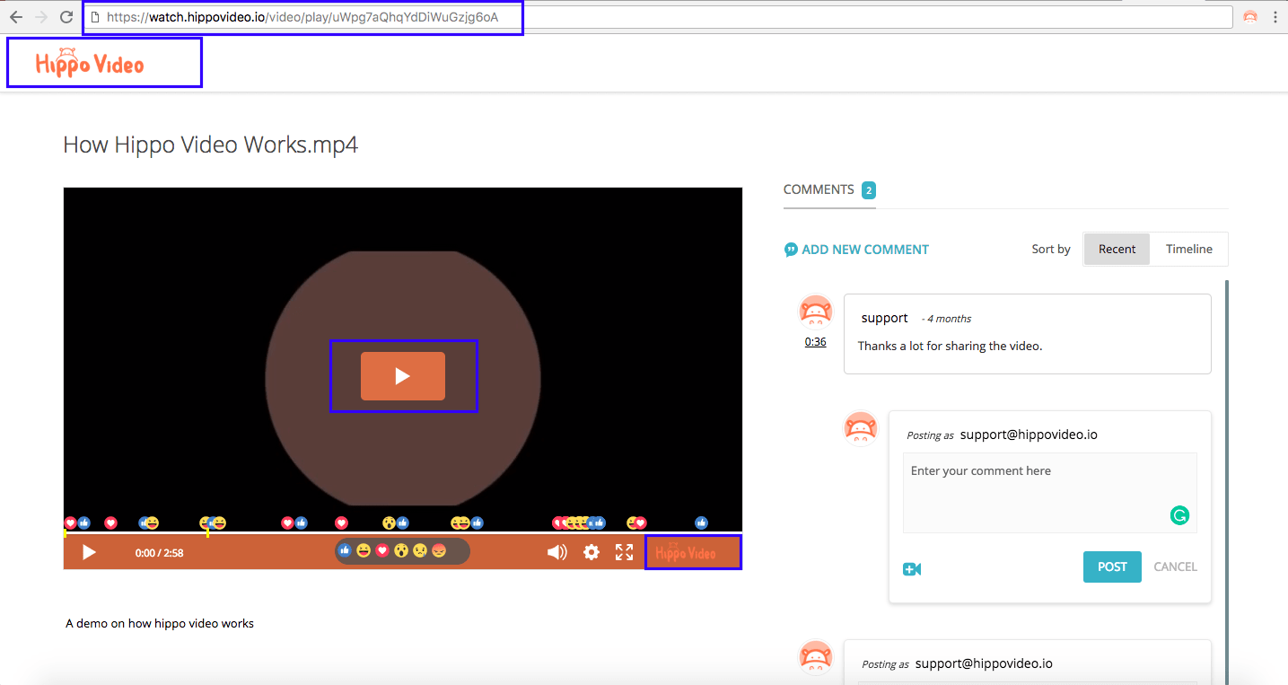 Video player customization